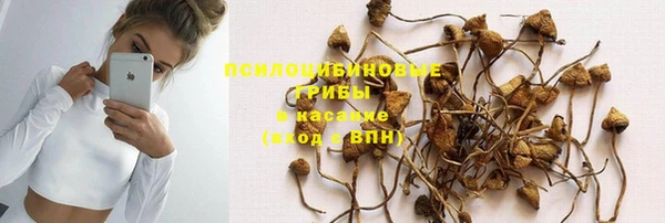 эйфоретик Алексеевка