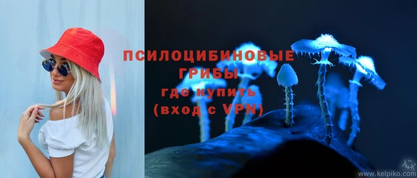 эйфоретик Алексеевка