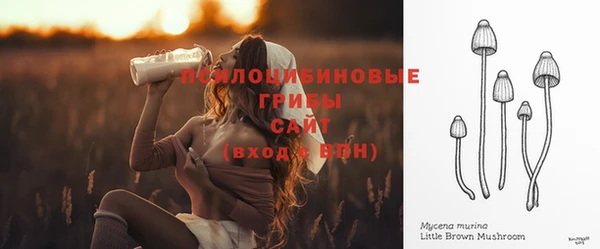 эйфоретик Алексеевка