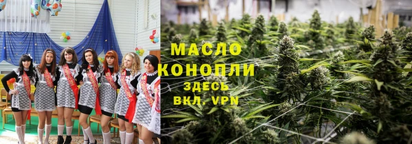 крисы Алзамай