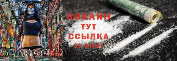 крисы Алзамай